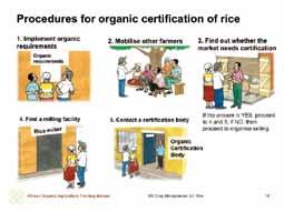 Summary guide on certification requirements of organic rice production In such a case, interested farmers should be willing to adopt the general organic production requirements, like no use of
