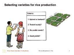 criteria for selecting varieties for rice production another area, they should be tried and tested under local conditions before scaling up.