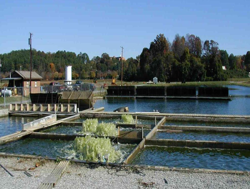 KG/HA Clemson University, 1989-2009 Partitioned Aquaculture Systems (PAS) Lessons zero-discharge green-water aquaculture 15-20,000