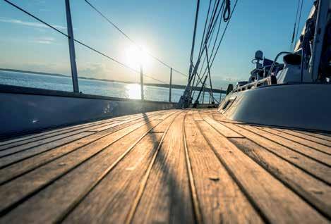 Resistant adhesives and sealants for aggressive conditions in marine applications What do you need to move your future?