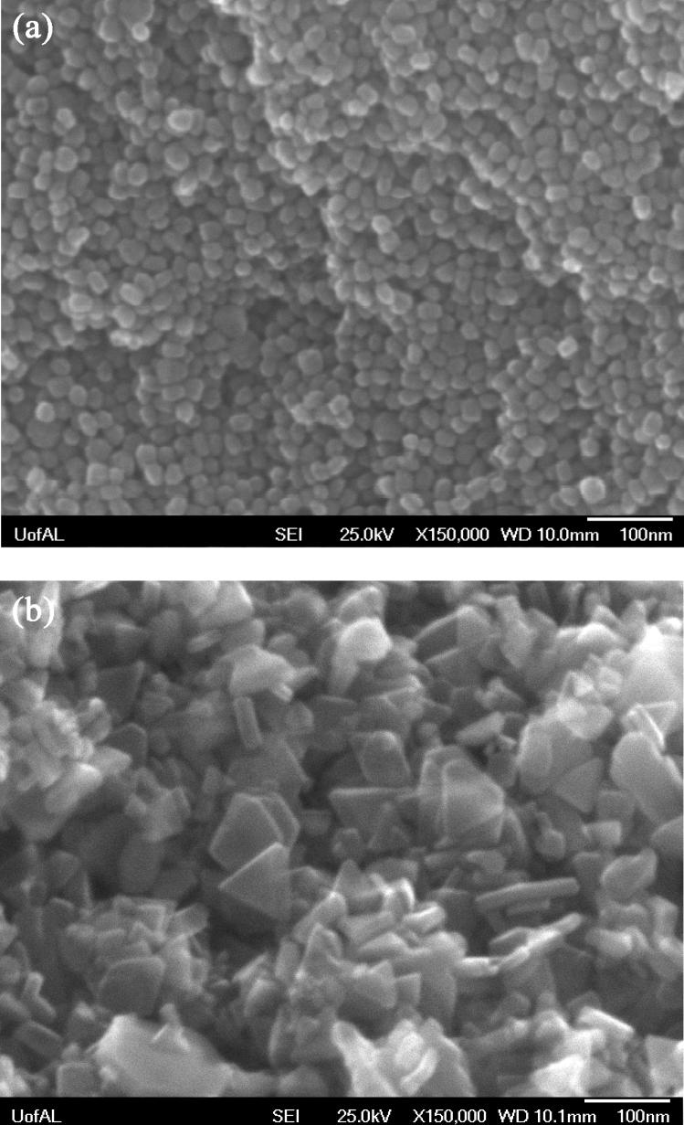 SEM images of CFTS nanocrystals synthesized in different solvents Figure S1.