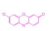 RUG novel substrate Resorufin-beta-D-glucuronic acid methyl ester Resorufin is one of the most intensely fluorescent materials known until today.