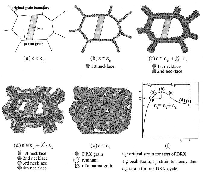 Chapter 1. Literature review 44 Figure 1. 29 Stages of microstructural evolution during DRX [110] There are five mechanisms explaining the dynamic recrystallization process in magnesium.