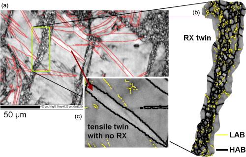 Chapter 1. Literature review 48 orientation of twins unfavourable for basal slip shown in Figure 1.34. Also, tensile twins that showed no DRX indicated absence of low angle boundaries (see Figure 1.