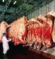 Ireland s Beef Industry - contd. 540,000 tonnes beef output 85% exported at value of 1.