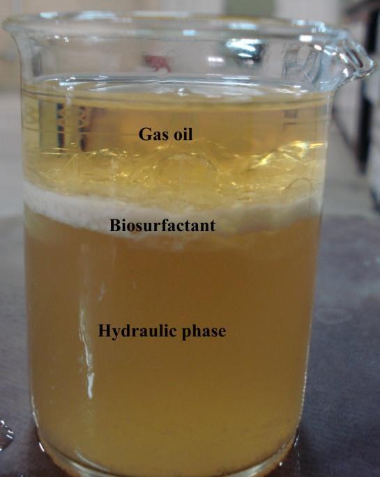 Figure (): Extraction of the aqueous phase with gas oil Biosurfactants are usually separated from the fermentation medium by methods such as salting out (saturation of the fermentation medium for