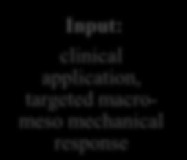clinical application, targeted macromeso mechanical response