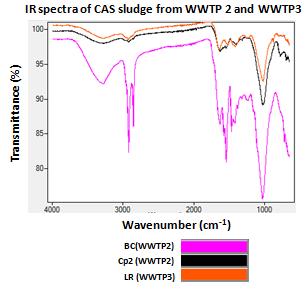 Part 3: RESULTS & DISCUSSIONS - CHAPTER 1 Figure 39: IR spectra of CAS sludge and anaerobic granular sludge and the main type of bonds