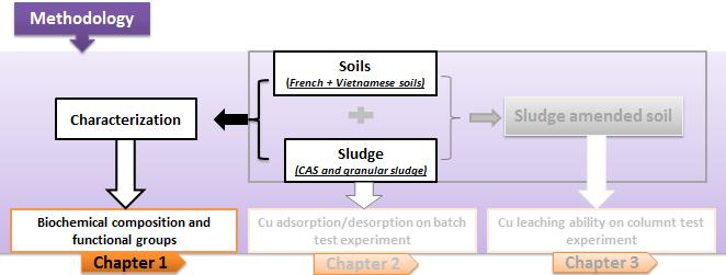 CONCLUSIONS & PERSPECTIVES Soils (Grass and paddy soil) Figure 83 : Main methodology for sludge and soil characteristics The resulted of sludge characteristics was presented in chapter 1 of result