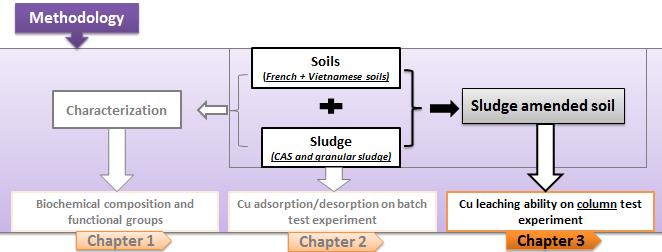 CONCLUSIONS & PERSPECTIVES Soils (Grass and paddy soil) Case of soil Higher copper leaching was obtained in paddy soil compared grass soil column with and without sludge application.