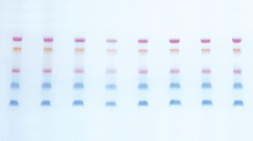 Natural Prestained Protein Prestained standards are visualized before the gel is stained, making them ideal for monitoring protein migration during an electrophoretic run, for gel and blot