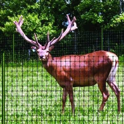 Deer Fencing is the