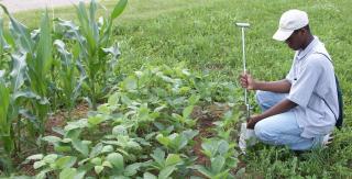 biodiversity Reduced fertilizer runoff No