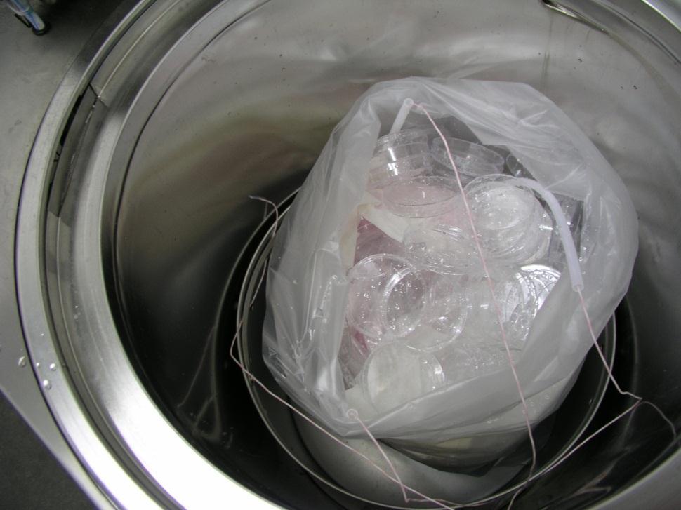 STERILIZATION OF WASTE heat-up phase fractionated / pulsed pre-vacuum Waste bag with petri dishes placed into the autoclave Three temperature sensors with each a bio-indicator in different levels in