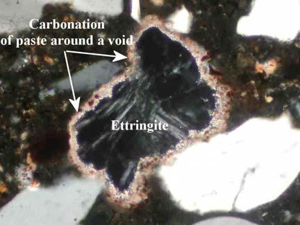 spaces in the paste of mortar coatings left photo shows large crystals of calcium