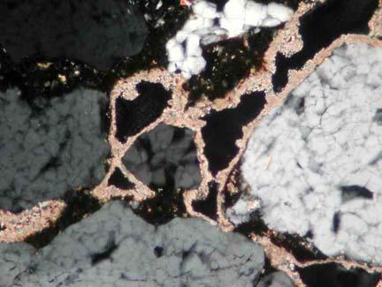 coating, reddish brown staining in the carbonated zone (right photo) and a zone of leached