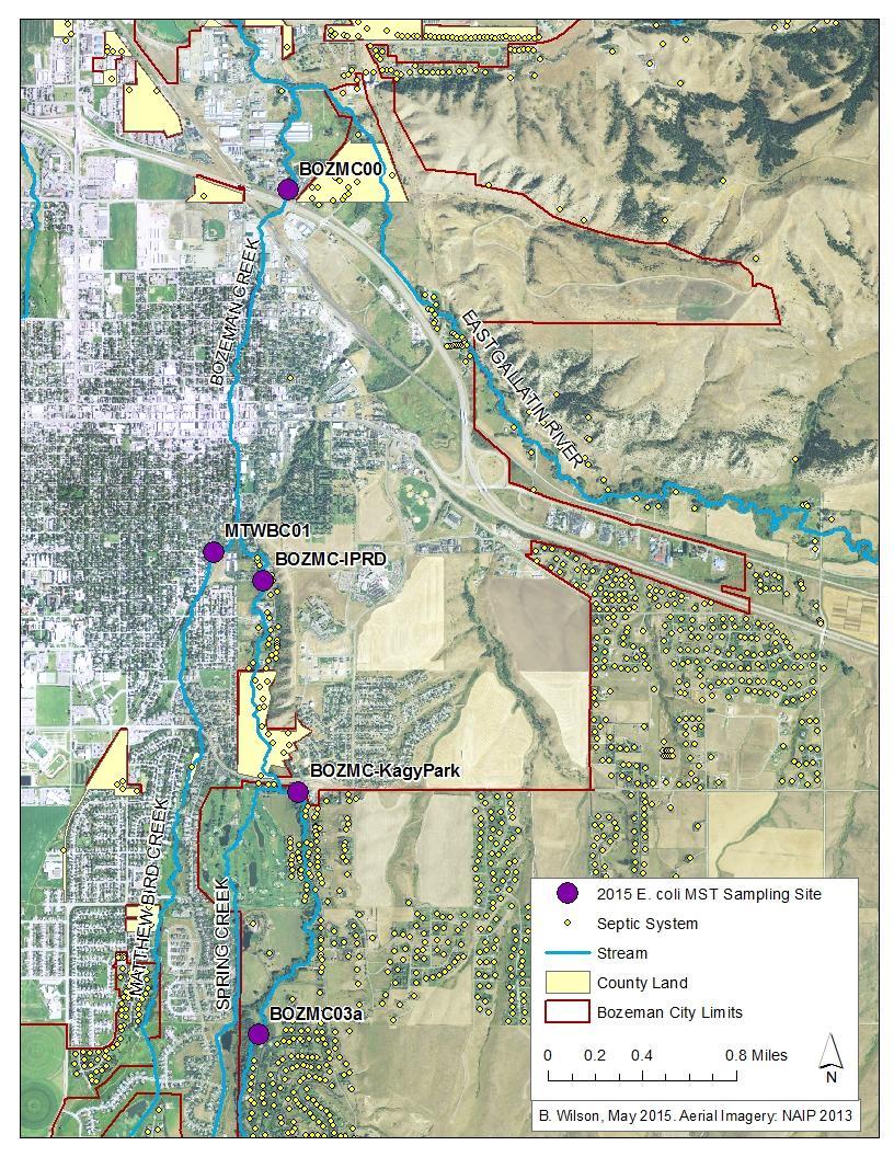 1.0 INTRODUCTION and BACKGROUND Urbanization along streams can have detrimental effects on stream health and water quality, and Bozeman Creek is no exception.