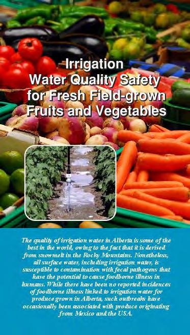 Irrigated Produce Fresh consumable is at higher risk than processed Crops with larger surface areas that are hard to wash are at