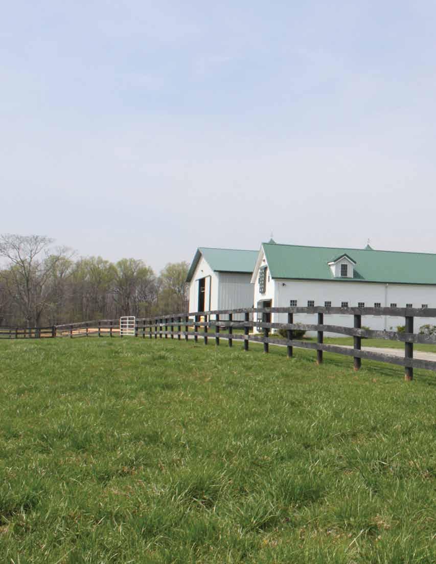 For a high quality horse pasture, ask the experts at Southern States A high quality pasture not only supplies your horse with good forage, it provides your horse with a natural and healthy