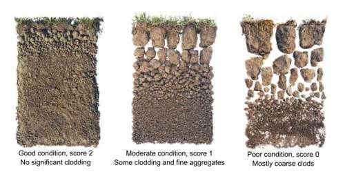 soil porosity