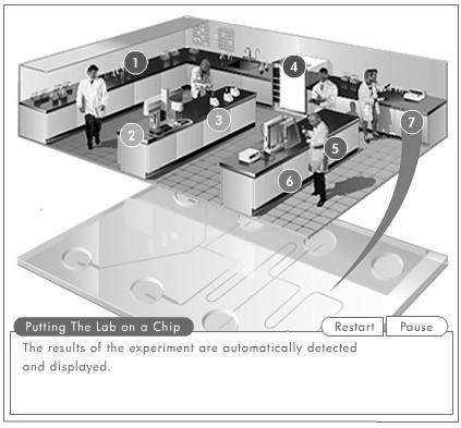 Lab-On-a-Chip Miniaturized Laboratory