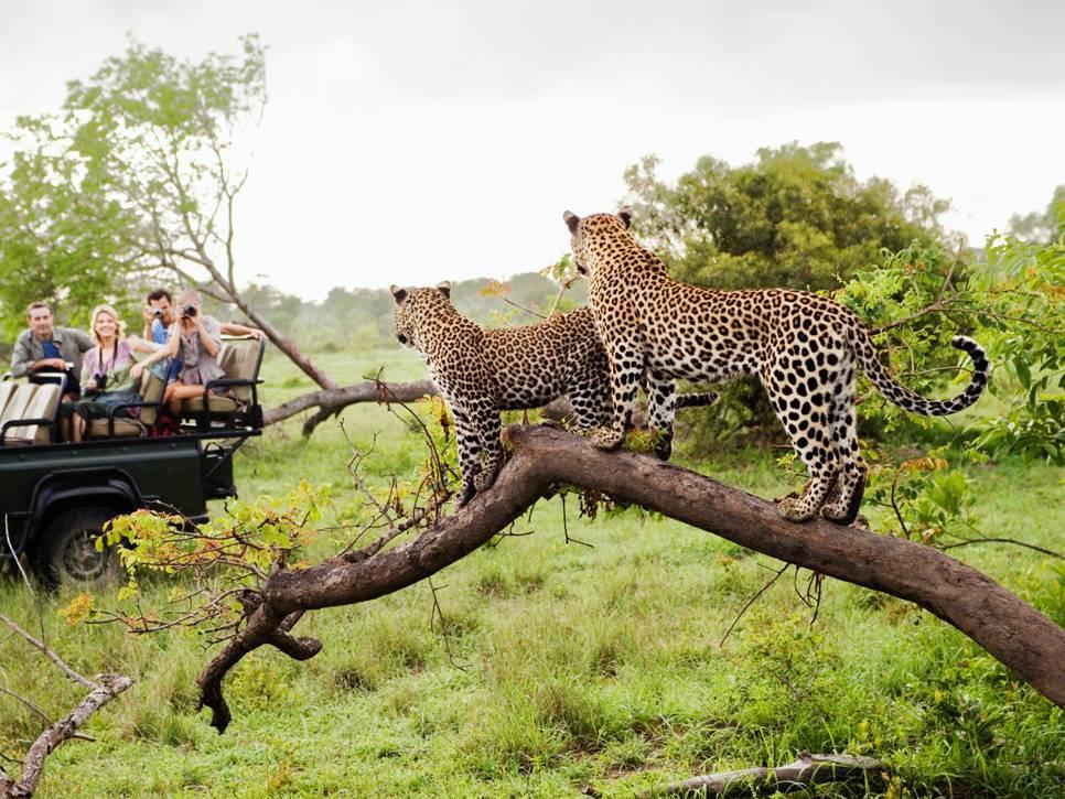 QUALIFY FOR TOP ACHIEVERS TRIP Kenya Points Needed to Qualify: 1000 Additional Points for