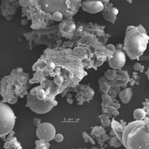 Fly Ash as Magnification of