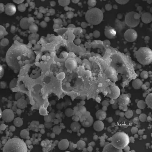 Fly Ash as Magnification of