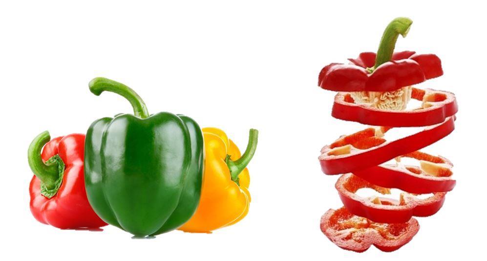 COSTS AND PROFITABILITY ANALYSIS FOR BELL PEPPER PRODUCTION IN THE OXNARD PLAIN, VENTURA COUNTY, 2012-13 Bell Pepper Production for Processing Etaferahu Takele, Area Farm Advisor, Agricultural