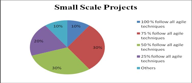 for 39: EXTENT OF AGILE TECHNIQUE IN SMALL SCALE FIG.