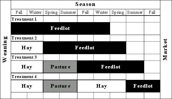 Fig. 1. Schematic diagram of seasonal treatments for maximizing forage and minimizing grain in bison fed for meat (Anderson and Bock, 2000) Table 4.