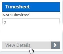 Timesheet Comments now Enabled Adding Comments to