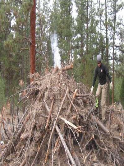 Current land management Forest restoration: thinning and salvage logging Pile and burn excess