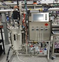 Scalable Bioprocessing: Robust Commercial Process