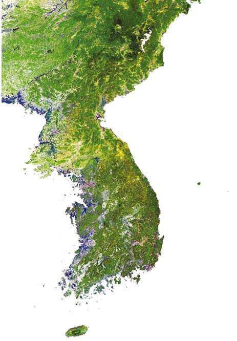 Large scale ecosystem restoration in Korea Forest ecosystem (64%) as key component of biodiversity in Korea Quercus spp.