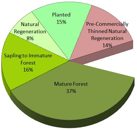 7. Figure 3: Productive forest (0.