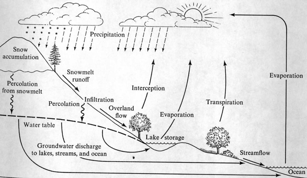 1-1 GEOG415 Lecture 1: Hydrologic cycle Hydrologic cycle is ultimately driven by solar radiation, which evaporates water from the ocean and lift it up in the atmosphere. Dunne & Leopold, 1978, Fig.