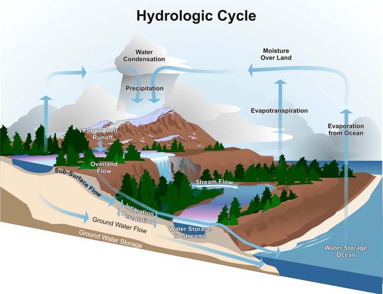 Figure 1. The hydrologic cycle is the movement of water between land, streams, oceans and the atmosphere.
