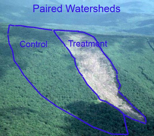 Experimentation Paired Watersheds What is the effect of forest management on: