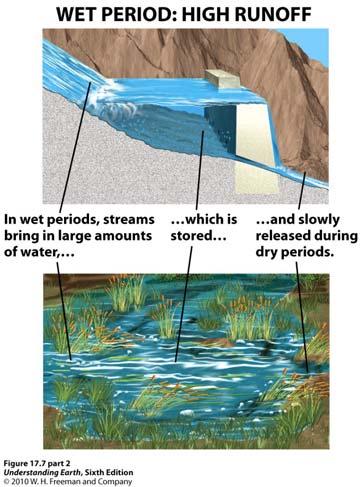 The Hydrology of Runoff: Similarity of a dammed lake and a natural lake Increased surface area increases proportionally