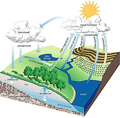 Hydrologic Cycle; What is it?