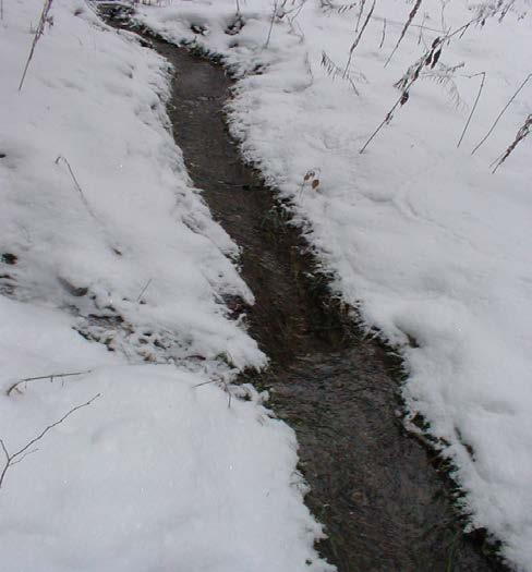 Snowpack / Snowmelt Presence or absence of snow cover or snow pack - Critical factor in