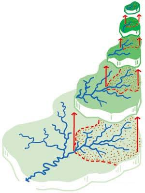 Changes with catchment scale Proportion of