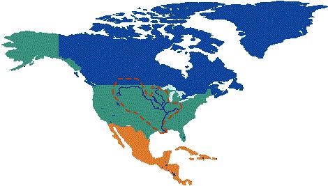 Drainage basin or watershed An area of the earth s surface that contributes the water passing a point on a