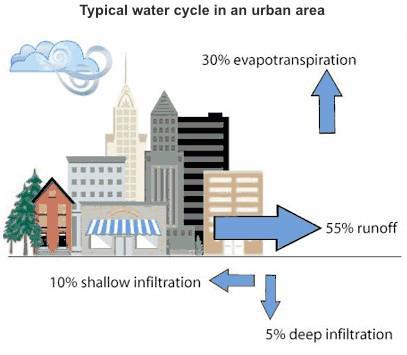 Effects of Urbanization Typical cycle