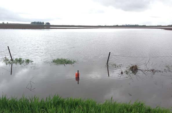 Figure 5.13: Ponding around a surface tile intake (orange plastic pipe in center of photo) in the South Fork watershed after a large storm event (May 27, 2013).