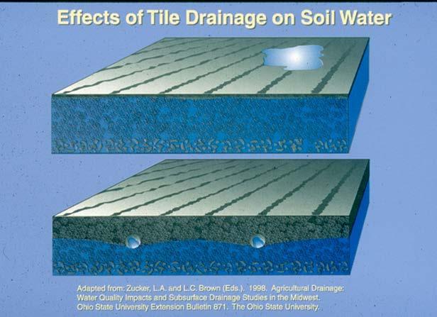 Chapter 1 Introduction Artificial draining of soil using subsurface tile drains and surface drainage ditches has been occurring in the Midwest for over 100 years (Zucker and Brown, 1998).