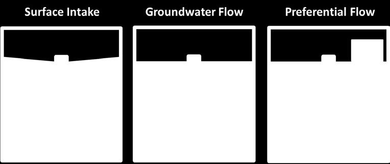 water table (i.e., saturated conditions); and 3) macropore / preferential flow (Figure 2.1).