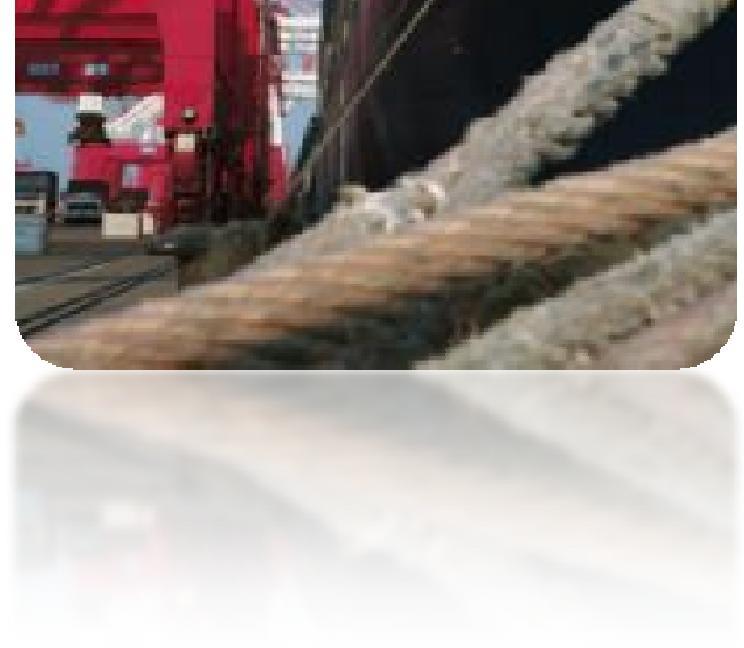 / characteristics NVOCC license M&M Global Freight Purchasing