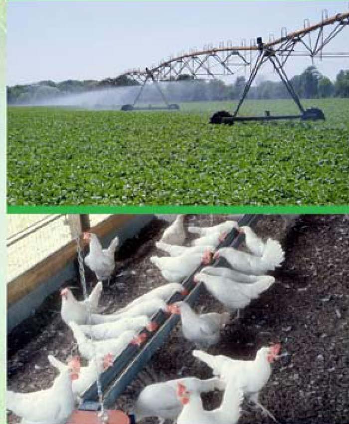 Agricultural Practices Fertilizer use and animal wastewater